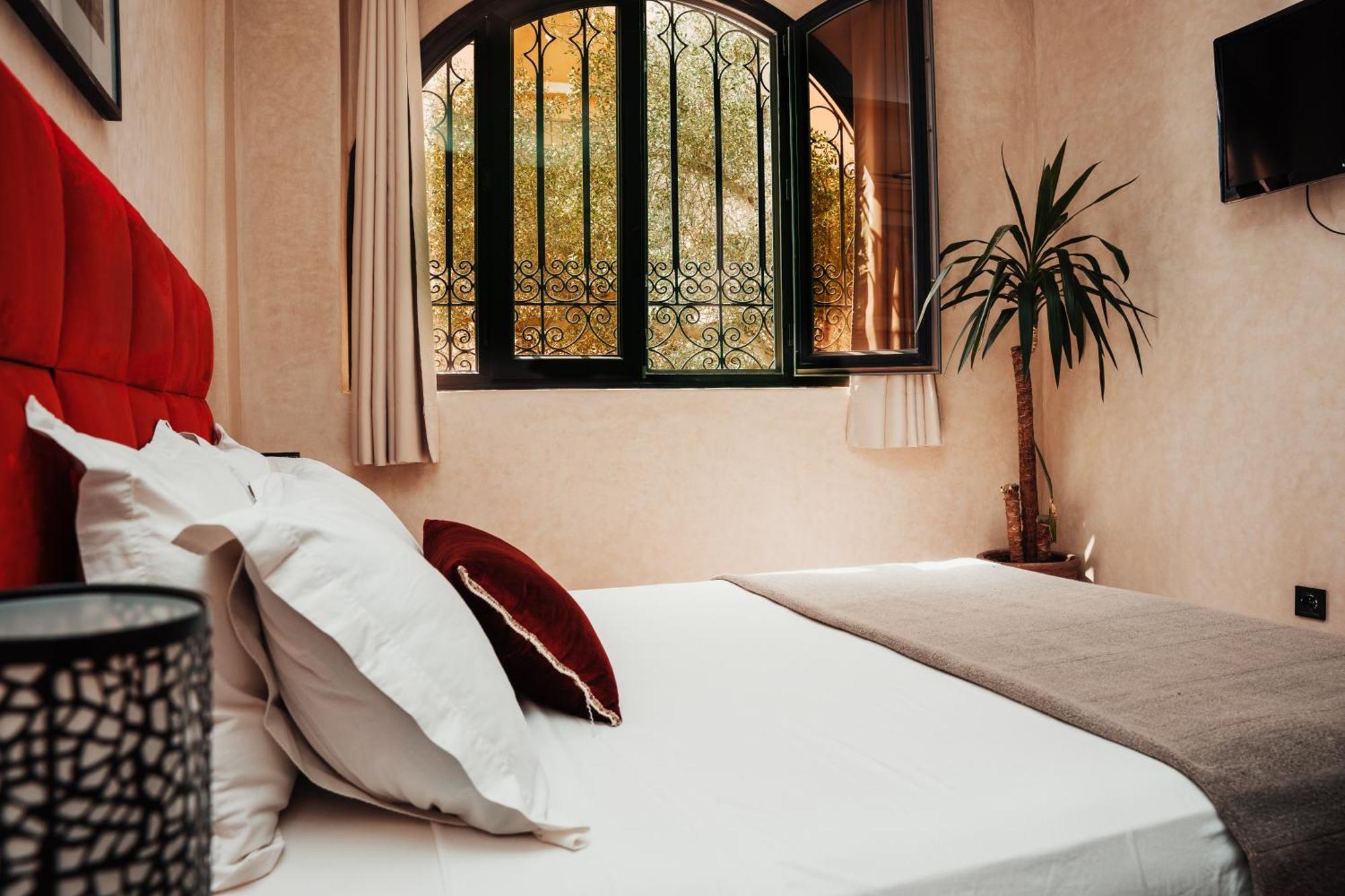 Auberge Riad Dlim Tamraght Εξωτερικό φωτογραφία